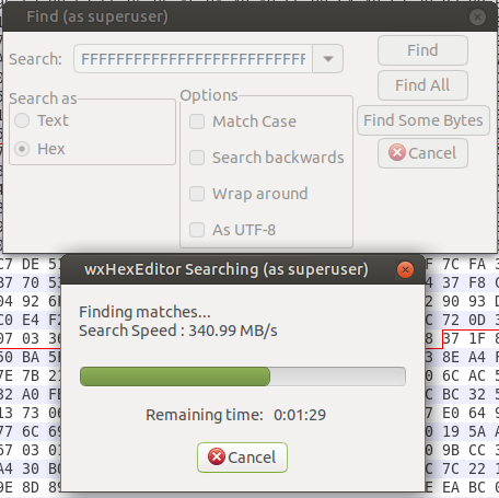 using wxhexeditor in terminak